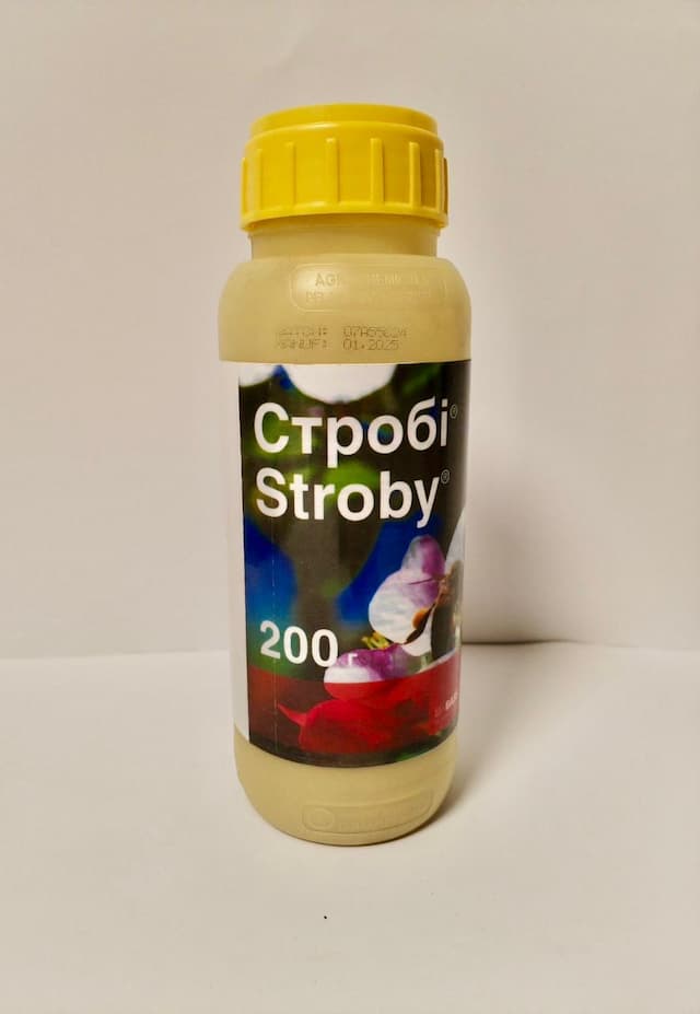 Фунгіцид «Стробі» 200 грам